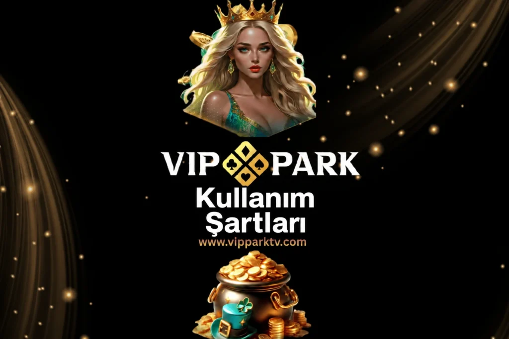 Vippark Kullanım Şartları